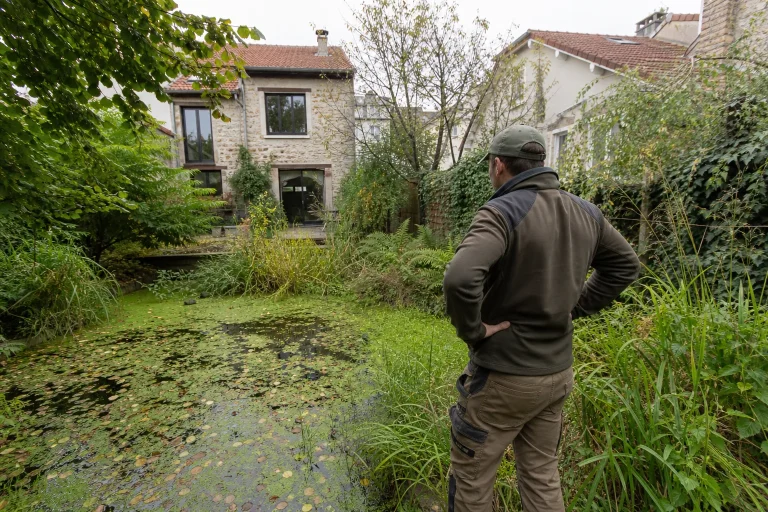 Replantation des berges d'une mare en Île-de-France